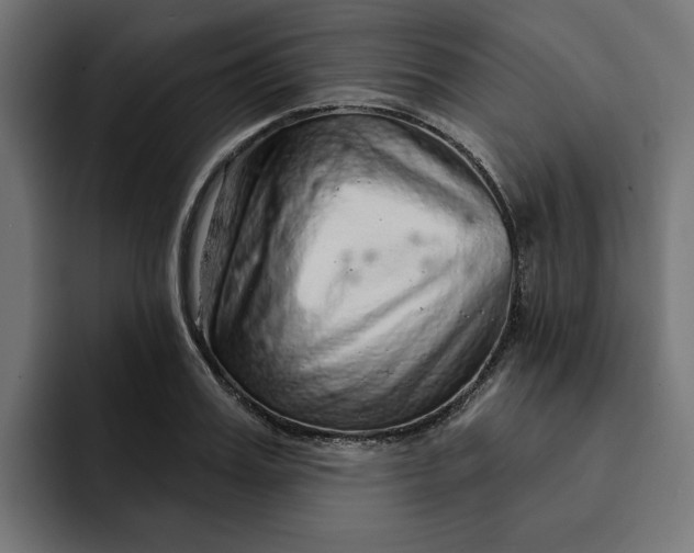 X0000092040987200710031021