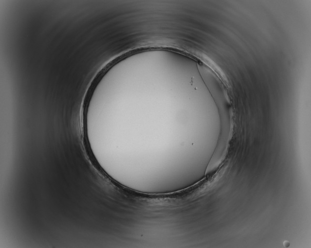 X0000092040988200710031021