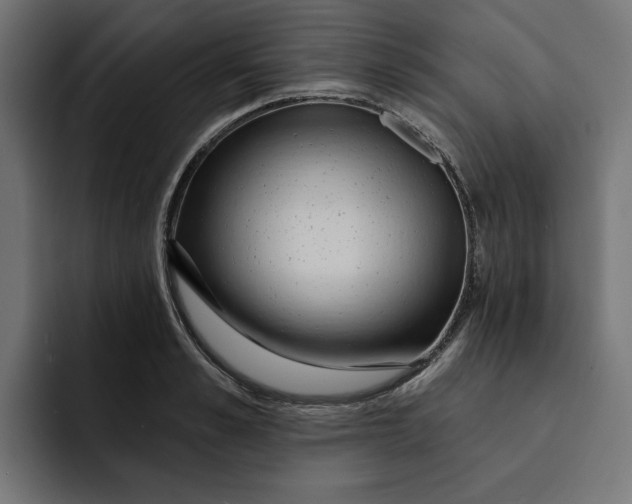 X0000092040989200710031021