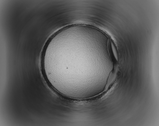 X0000092040991200710031021