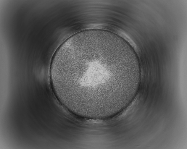 X0000092040994200710031021