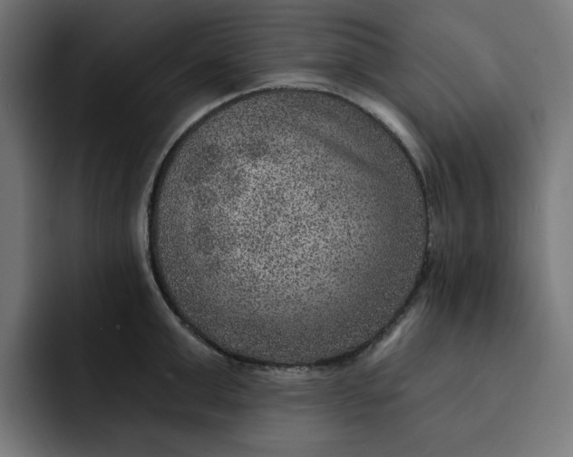 X0000092040999200710031021