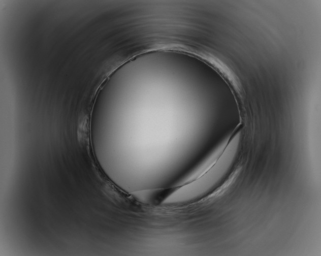 X0000092041001200710031021