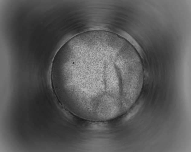 X0000092041002200710031021