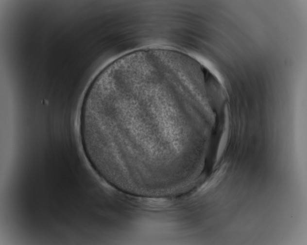 X0000092041007200710031021