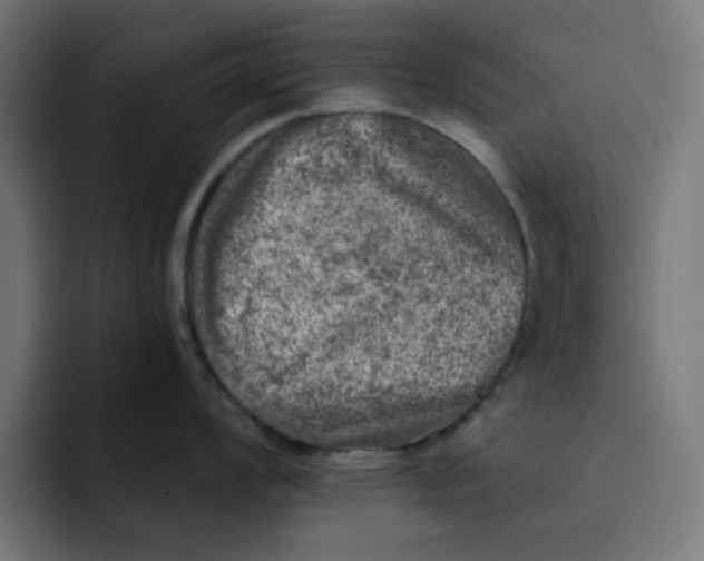 X0000092041008200710031021