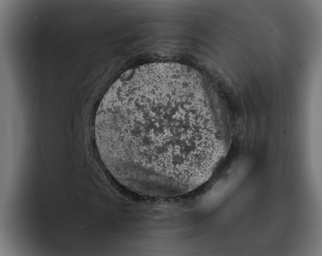 X0000092041009200710031020