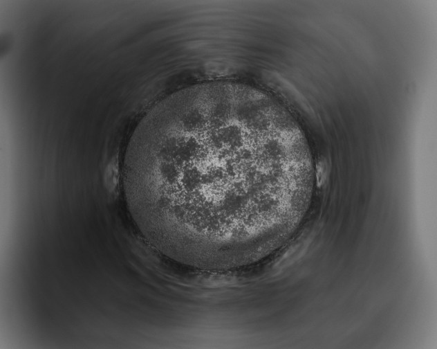 X0000092041011200710031021