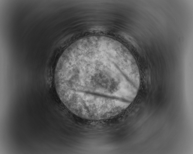 X0000092041015200710031021