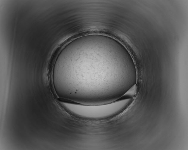 X0000092041018200710031021