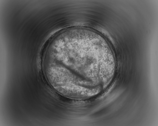 X0000092041019200710031021