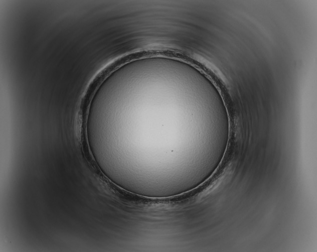 X0000092041021200710031021