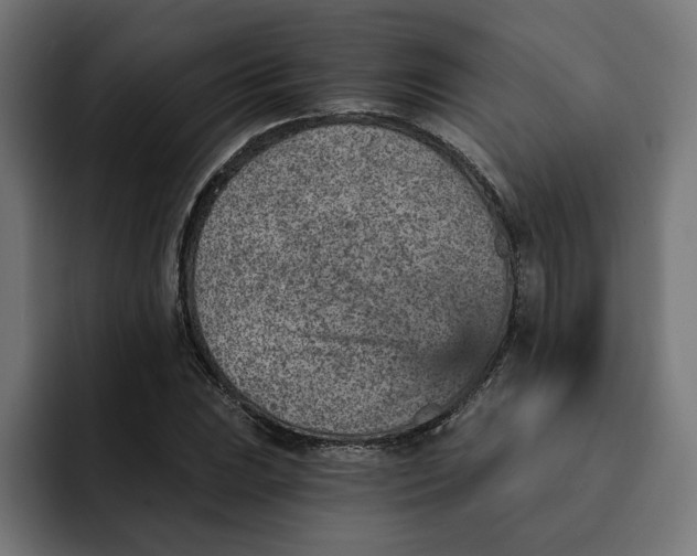 X0000092041023200710031021