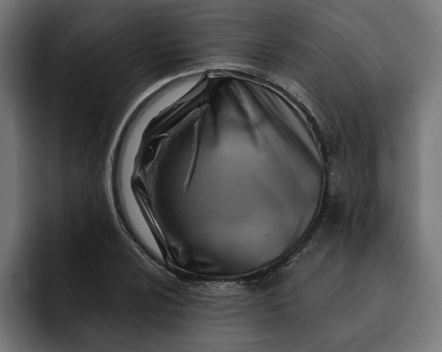 X0000092041024200710031021