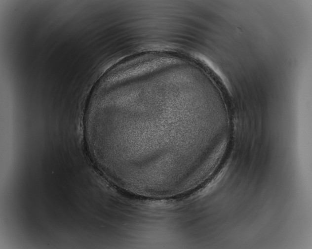 X0000092041025200710031021