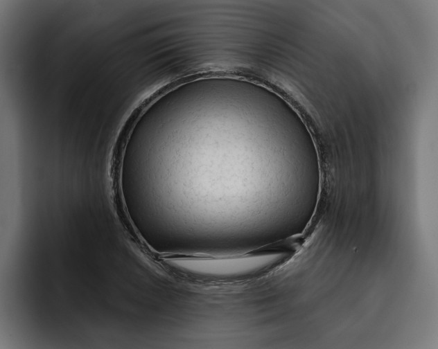 X0000092041026200710031021