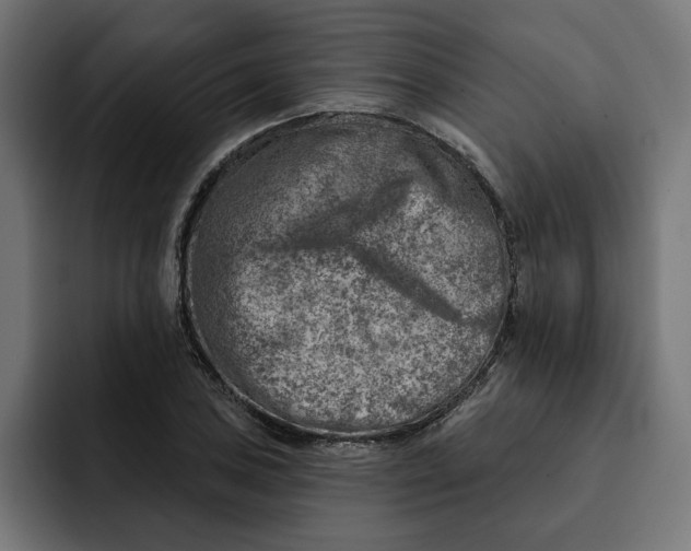 X0000092041027200710031021