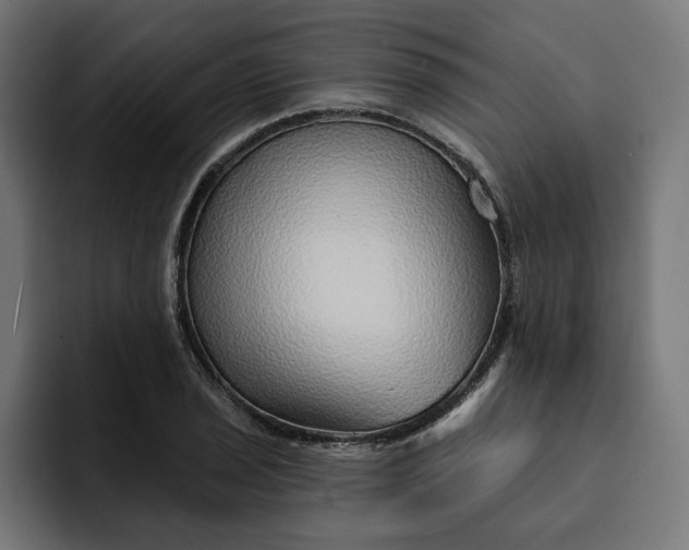 X0000092041029200710031021