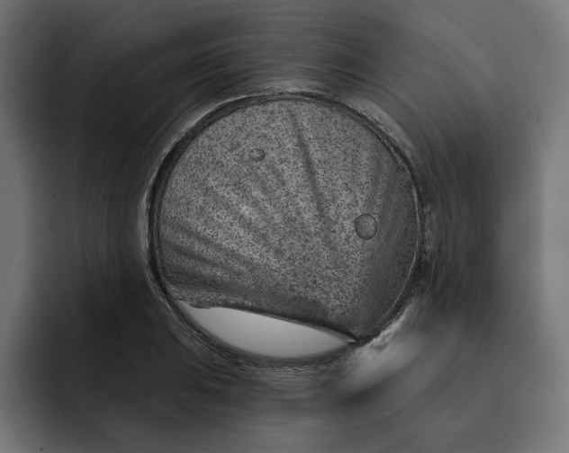 X0000092041031200710031021