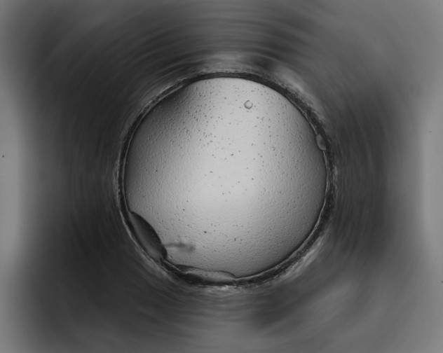 X0000092041033200710031021