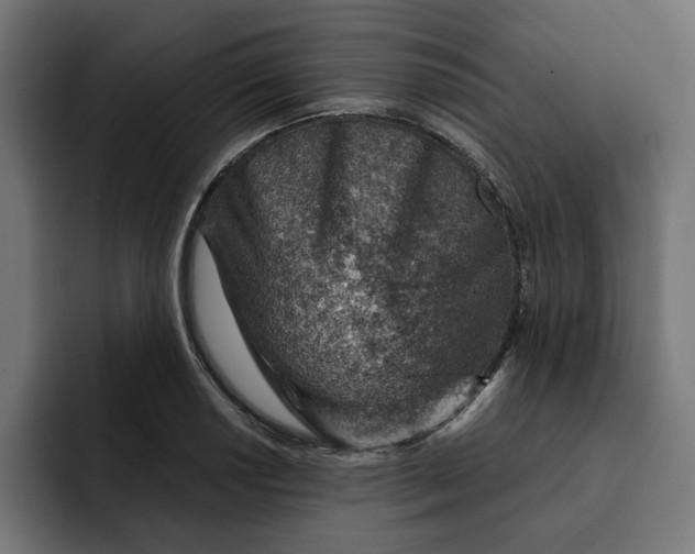 X0000092041034200710031021