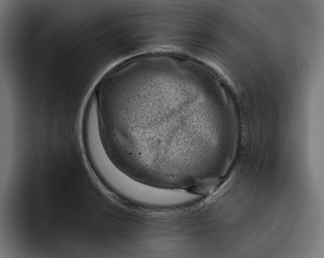 X0000092041038200710031021