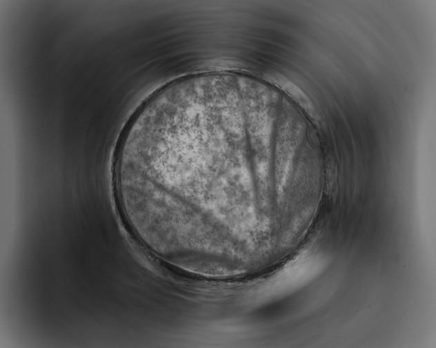 X0000092041039200710031021