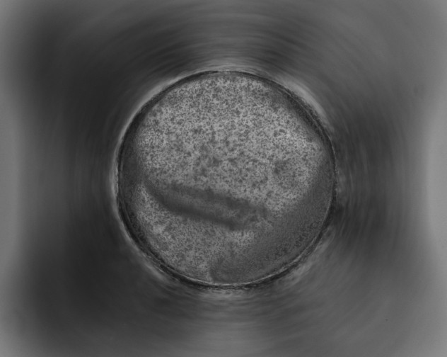 X0000092041040200710031021