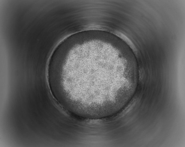 X0000092041043200710031021