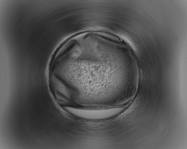 X0000092041046200710031021