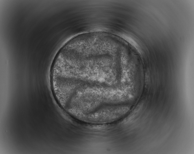 X0000092041047200710031021