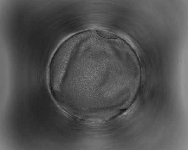 X0000092041048200710031021