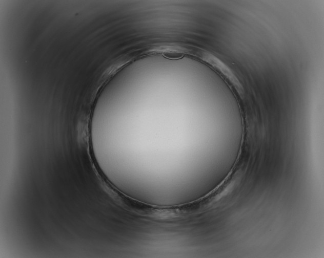 X0000092041049200710031021