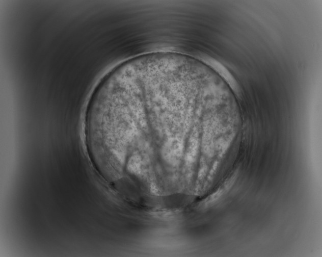 X0000092041051200710031021