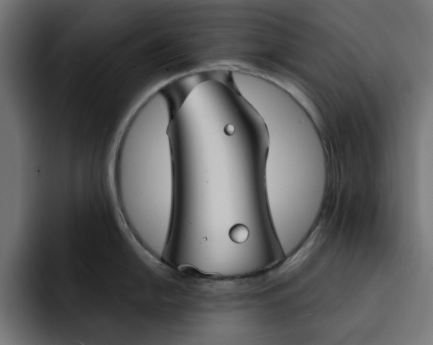 X0000092041054200710031021