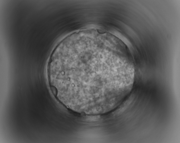 X0000092041055200710031021