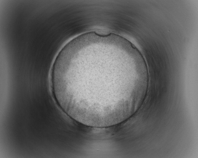 X0000092041056200710031021