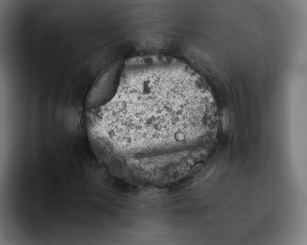 X0000092041059200710031020