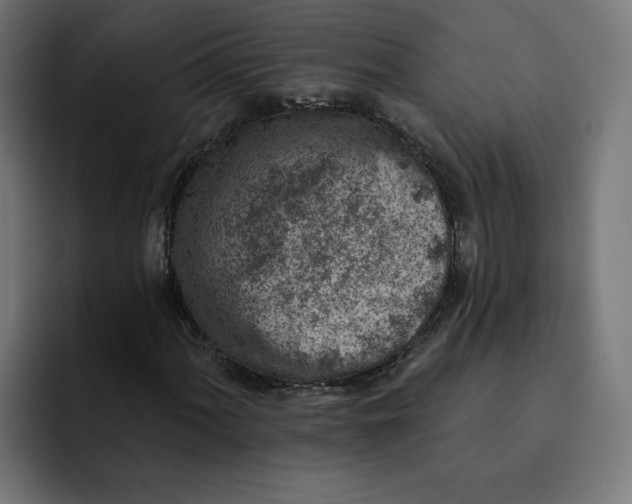 X0000092041060200710031020