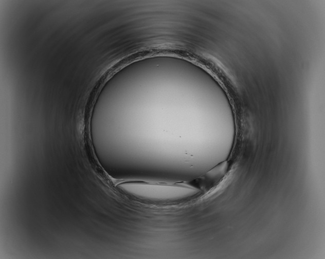 X0000092041065200710031020