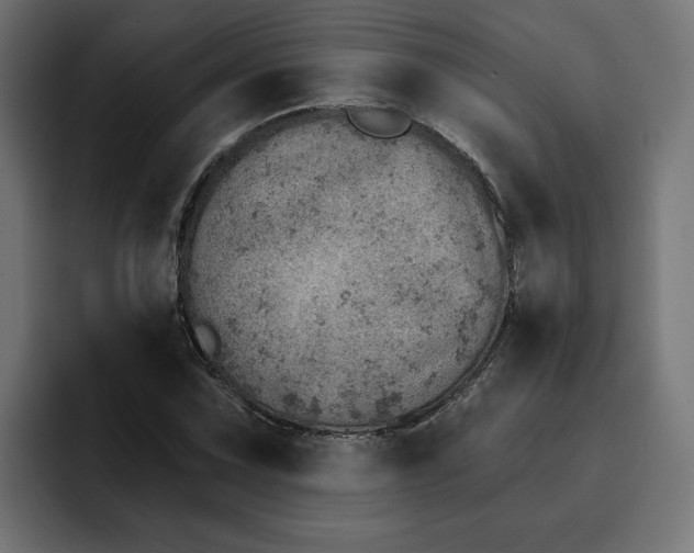 X0000092041067200710031020