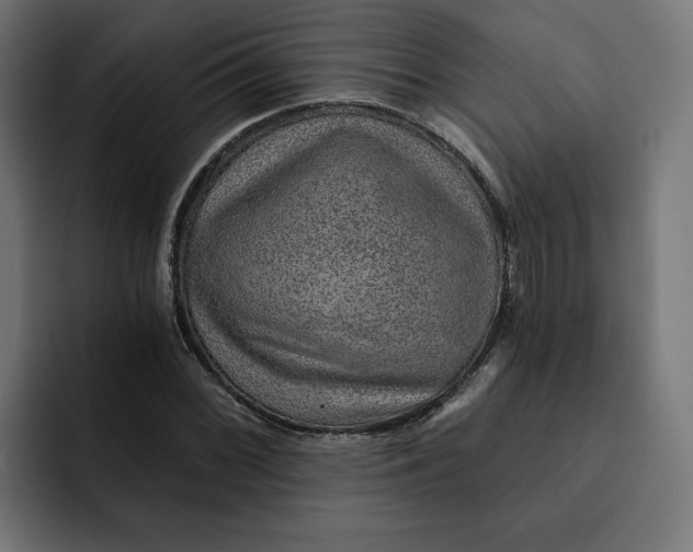 X0000092041068200710031020