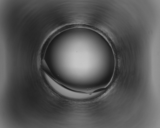 X0000092041069200710031020