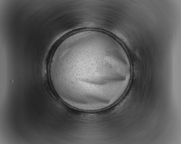 X0000092041070200710031020