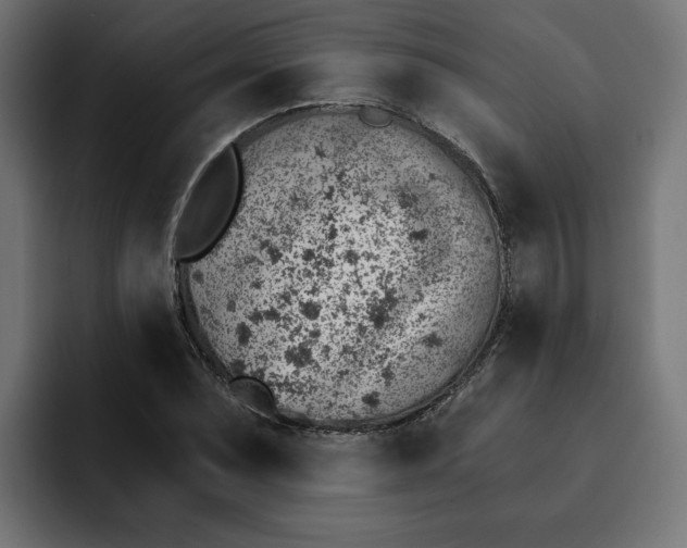 X0000092041071200710031020