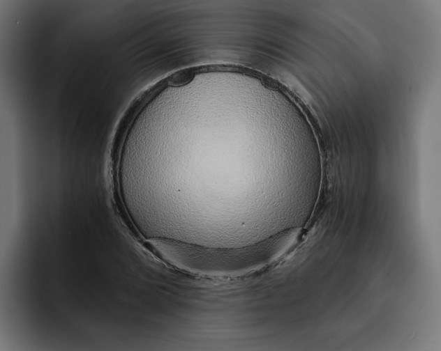 X0000092041072200710031020