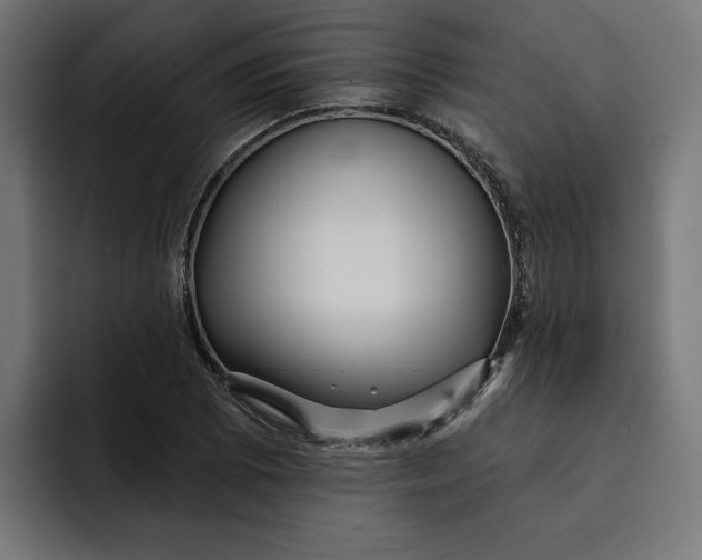 X0000092041073200710031020