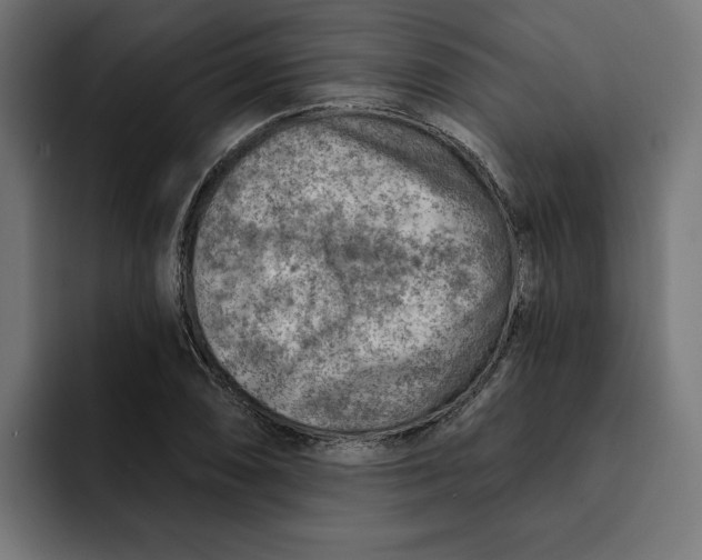 X0000092041074200710031020