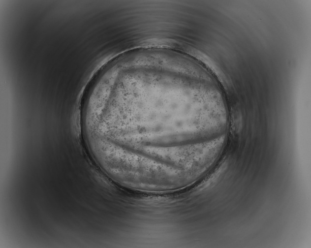 X0000092041075200710031020