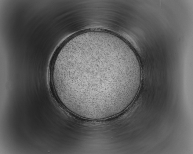 X0000092041076200710031020